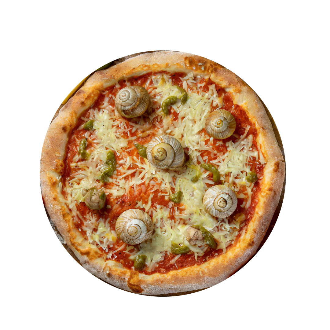 grande pizza, vue du dessus dont voici les ingrédients qui l'a compose - sauce tomate, escargots - emmental - Persillade